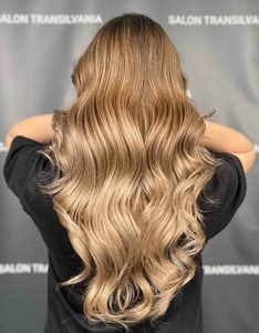Vopsit simplu, Balayage cu decolorare, Bianca Roman [1638124470230x100685072975527940]